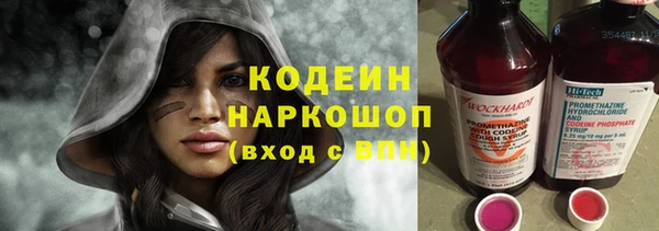 молекула духа Арсеньев