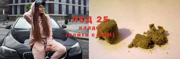 молекула духа Арсеньев