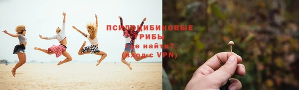 молекула духа Арсеньев