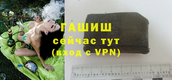 молекула духа Арсеньев