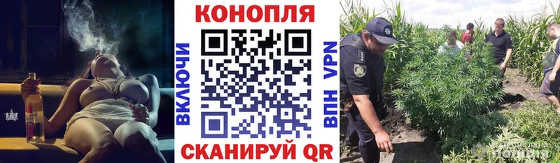Бошки Шишки тримм  Петухово 